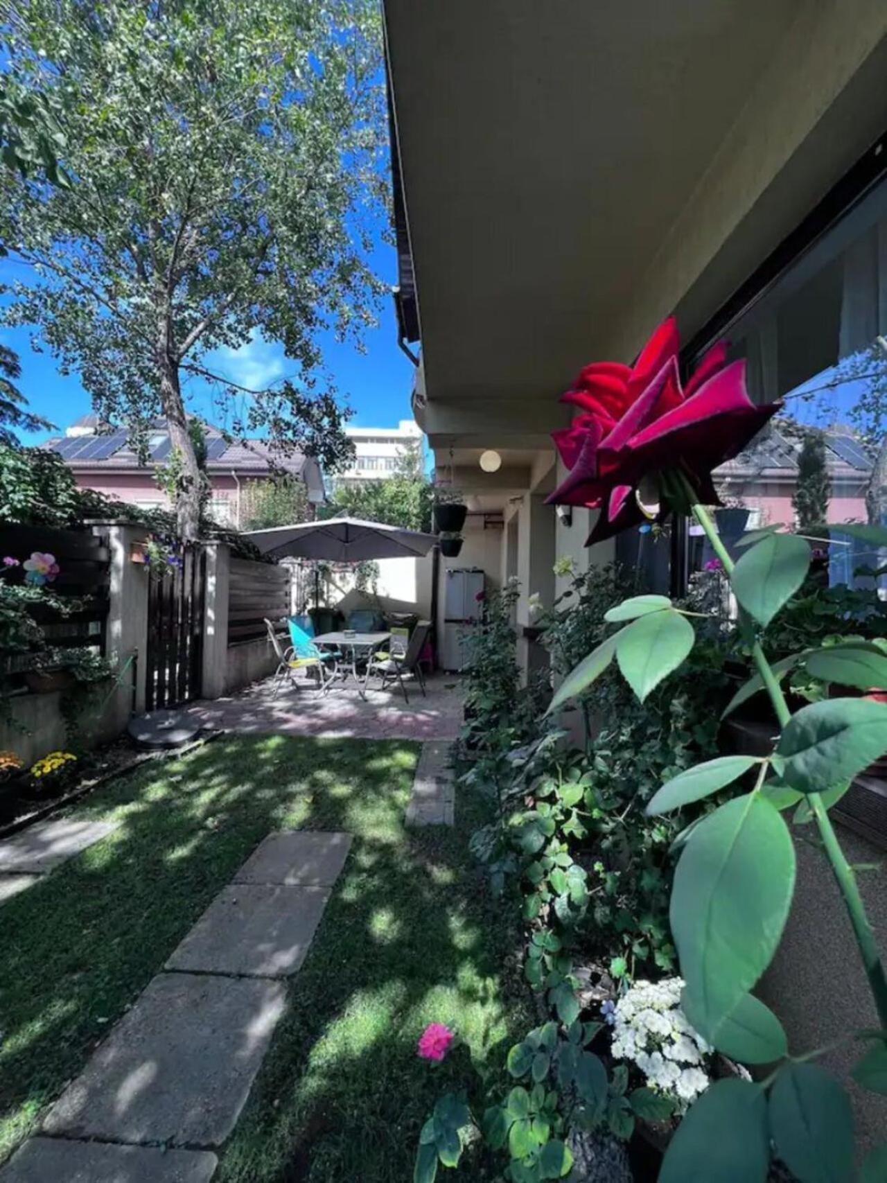 Vila Luminoasa Cu Curte Privata Bucureşti Ngoại thất bức ảnh